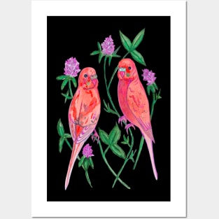 Red budgies Posters and Art